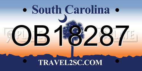 OB18287 South Carolina License Plate
