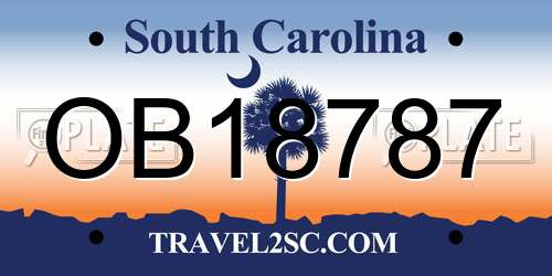 OB18787 South Carolina License Plate