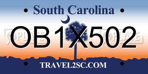 OB1X502 South Carolina License Plate