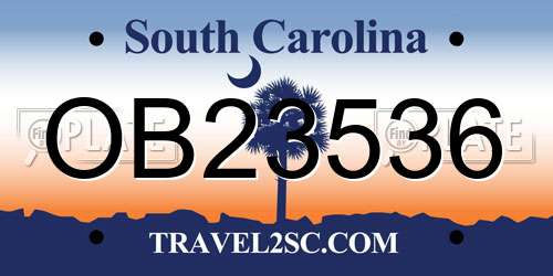 OB23536 South Carolina License Plate