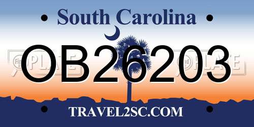 OB26203 South Carolina License Plate