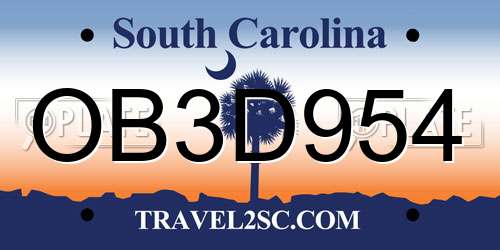 OB3D954 South Carolina License Plate