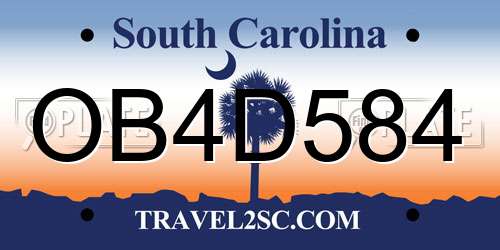 OB4D584 South Carolina License Plate