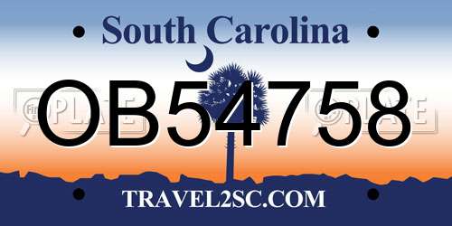 OB54758 South Carolina License Plate