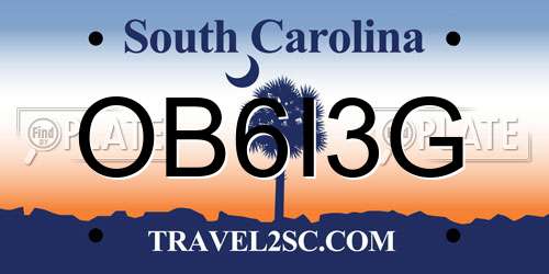 OB6I3G South Carolina License Plate
