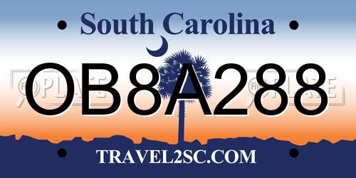 OB8A288 South Carolina License Plate
