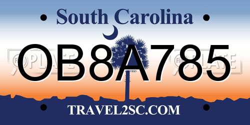 OB8A785 South Carolina License Plate