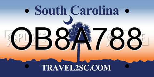OB8A788 South Carolina License Plate