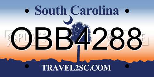 OBB4288 South Carolina License Plate