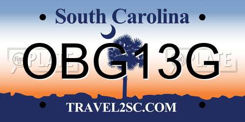 OBG13G South Carolina License Plate