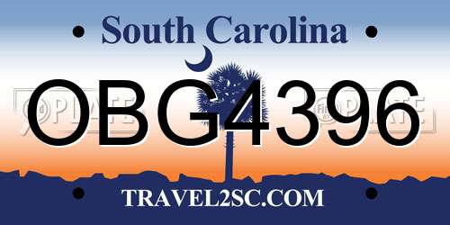 OBG4396 South Carolina License Plate