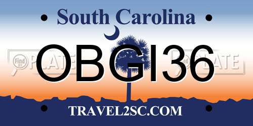 OBGI36 South Carolina License Plate