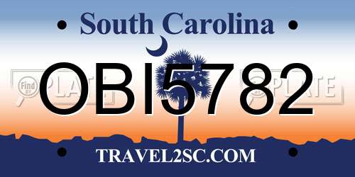 OBI5782 South Carolina License Plate