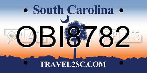OBI8782 South Carolina License Plate