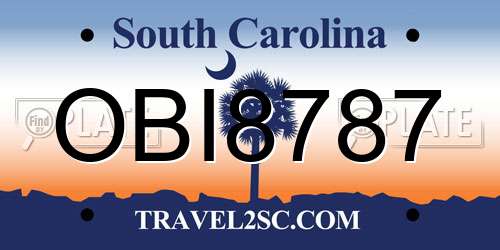 OBI8787 South Carolina License Plate