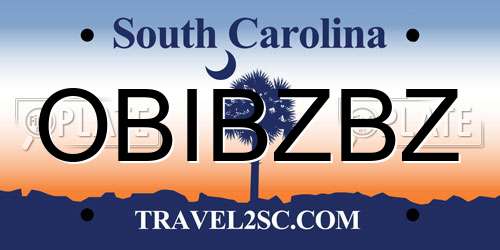 OBIBZBZ South Carolina License Plate