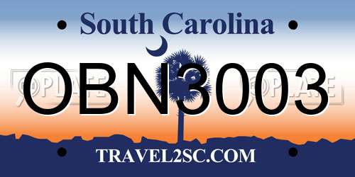 OBN3003 South Carolina License Plate