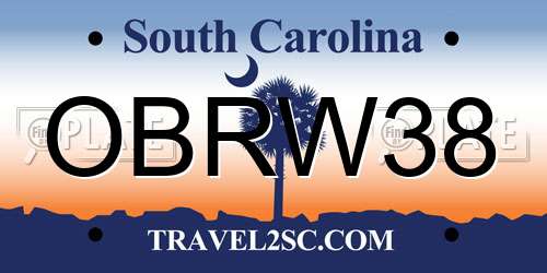 OBRW38 South Carolina License Plate
