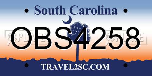 OBS4258 South Carolina License Plate