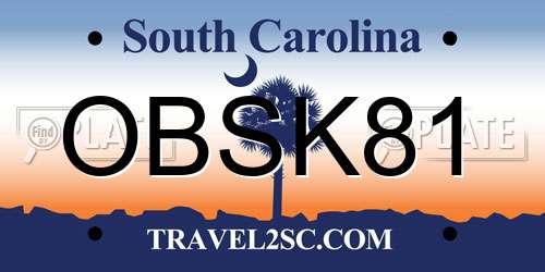 OBSK81 South Carolina License Plate