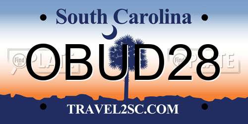 OBUD28 South Carolina License Plate