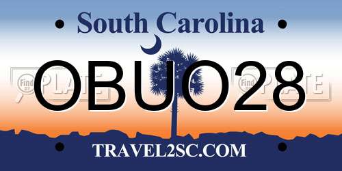 OBUO28 South Carolina License Plate