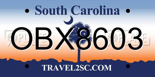 OBX8603 South Carolina License Plate