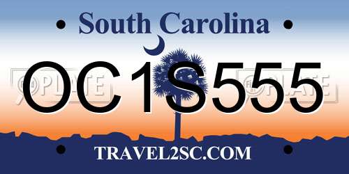 OC1S555 South Carolina License Plate