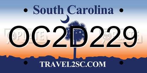 OC2D229 South Carolina License Plate