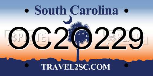 OC2O229 South Carolina License Plate