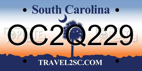 OC2Q229 South Carolina License Plate