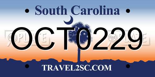 OCT0229 South Carolina License Plate