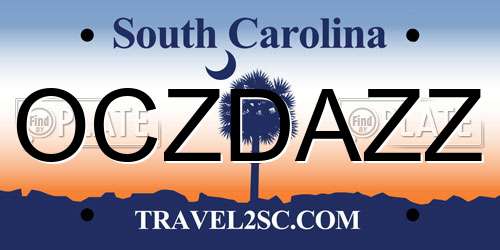 OCZDAZZ South Carolina License Plate