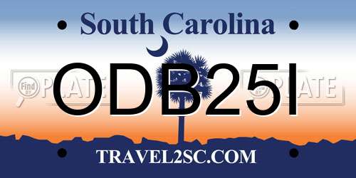 ODB25I South Carolina License Plate