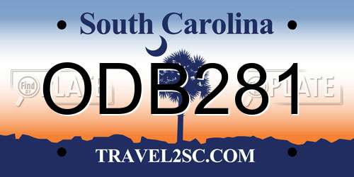 ODB281 South Carolina License Plate
