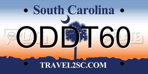 ODDT60 South Carolina License Plate