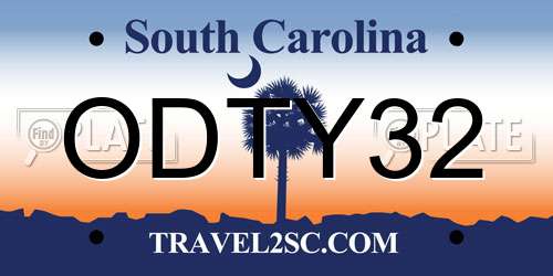 ODTY32 South Carolina License Plate