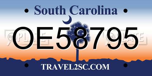 OE58795 South Carolina License Plate