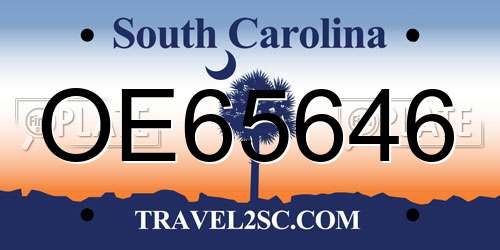 OE65646 South Carolina License Plate