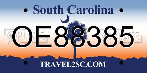 OE88385 South Carolina License Plate