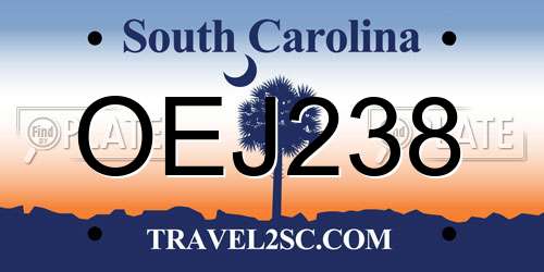 OEJ238 South Carolina License Plate