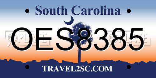 OES8385 South Carolina License Plate