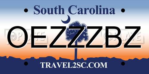 OEZZZBZ South Carolina License Plate