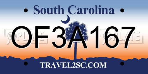 OF3A167 South Carolina License Plate