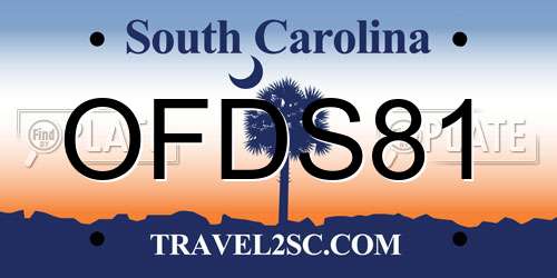 OFDS81 South Carolina License Plate