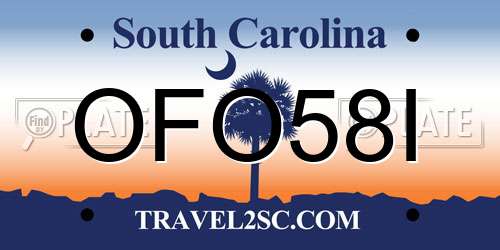 OFO58I South Carolina License Plate