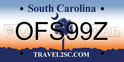 OFS99Z South Carolina License Plate