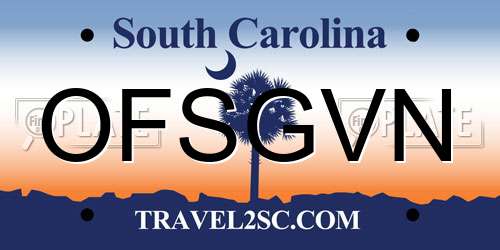 OFSGVN South Carolina License Plate