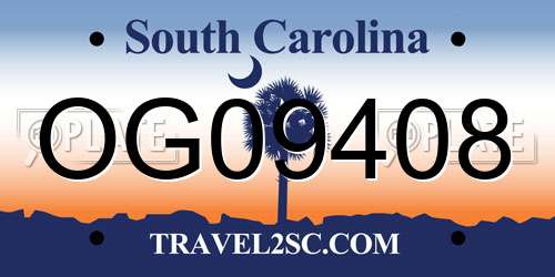 OG09408 South Carolina License Plate