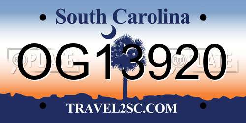 OG13920 South Carolina License Plate